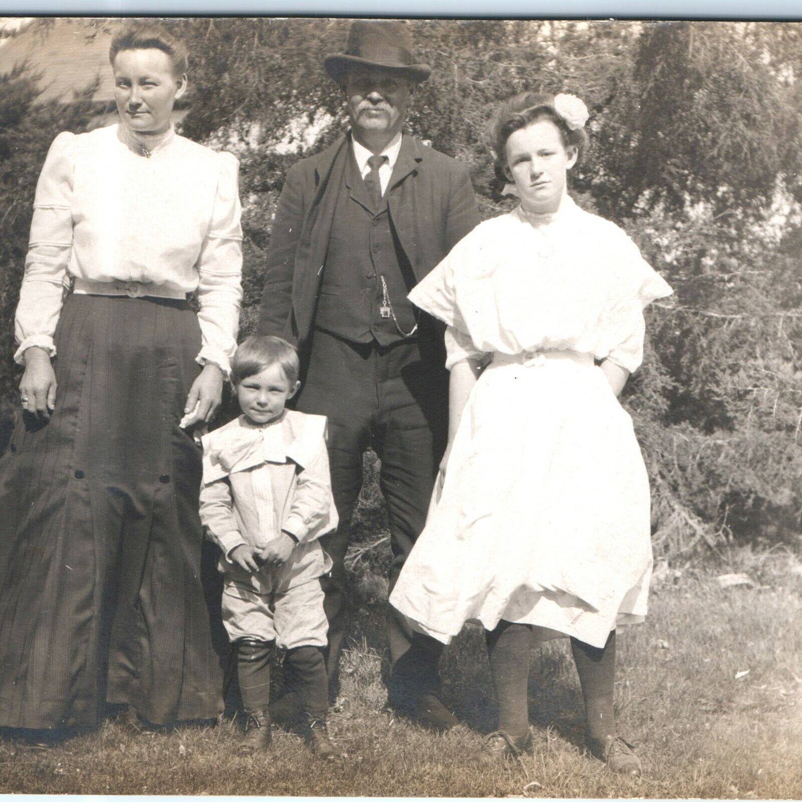 c1910s Family Real Photo RPPC Postcard Man Women Children Evergreen Tree A1