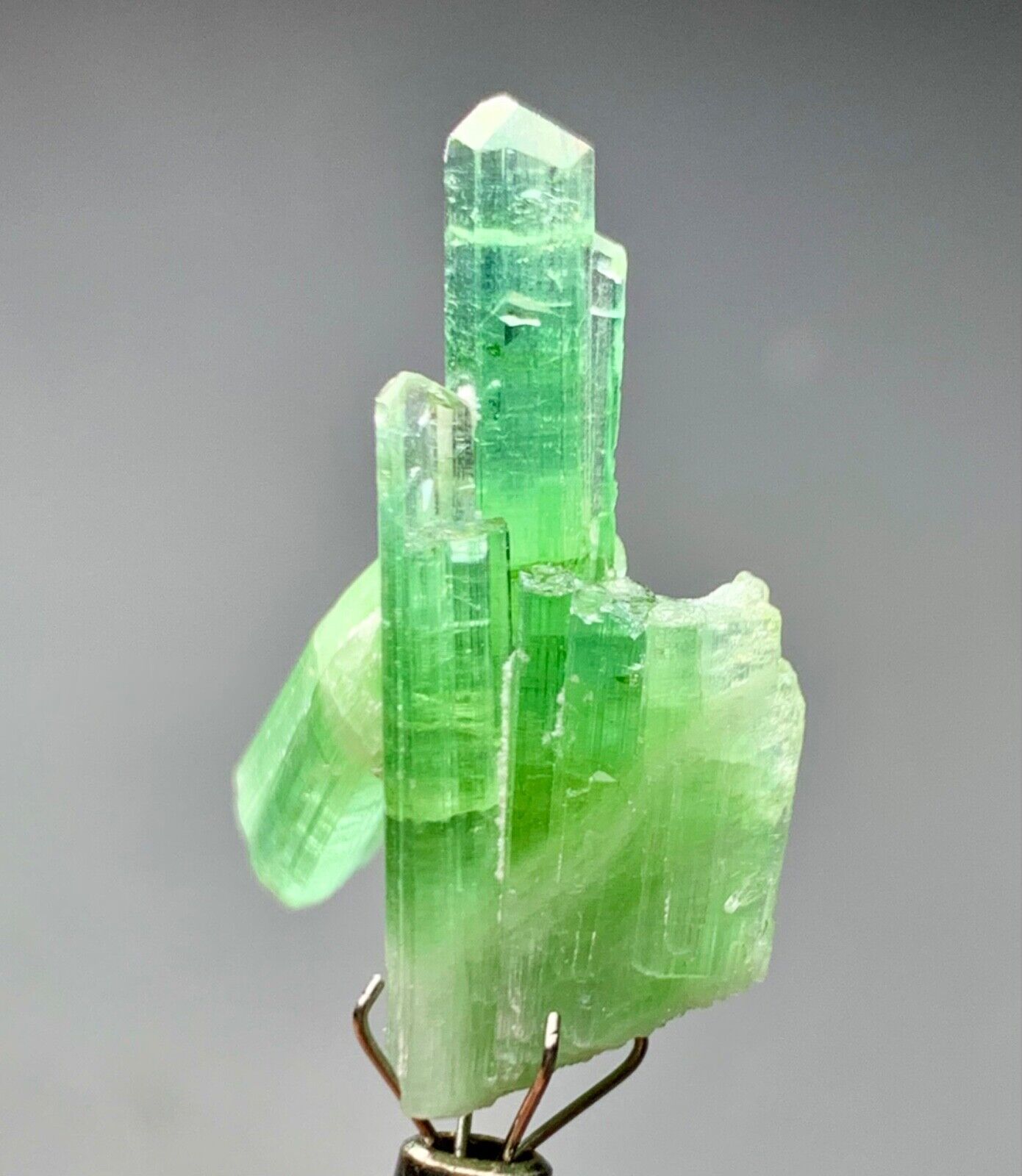 23 Cts Beautiful Termineted Tourmaline Crystal Bunch from Afghanistan