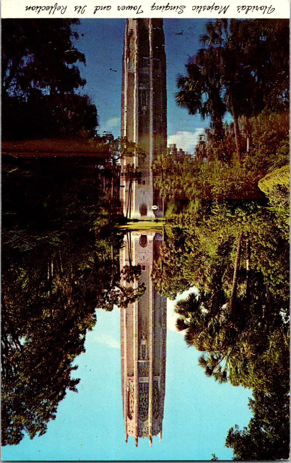 Vintage 1950's The Singing Tower Majestic Reflection Lake Wales Florida Postcard