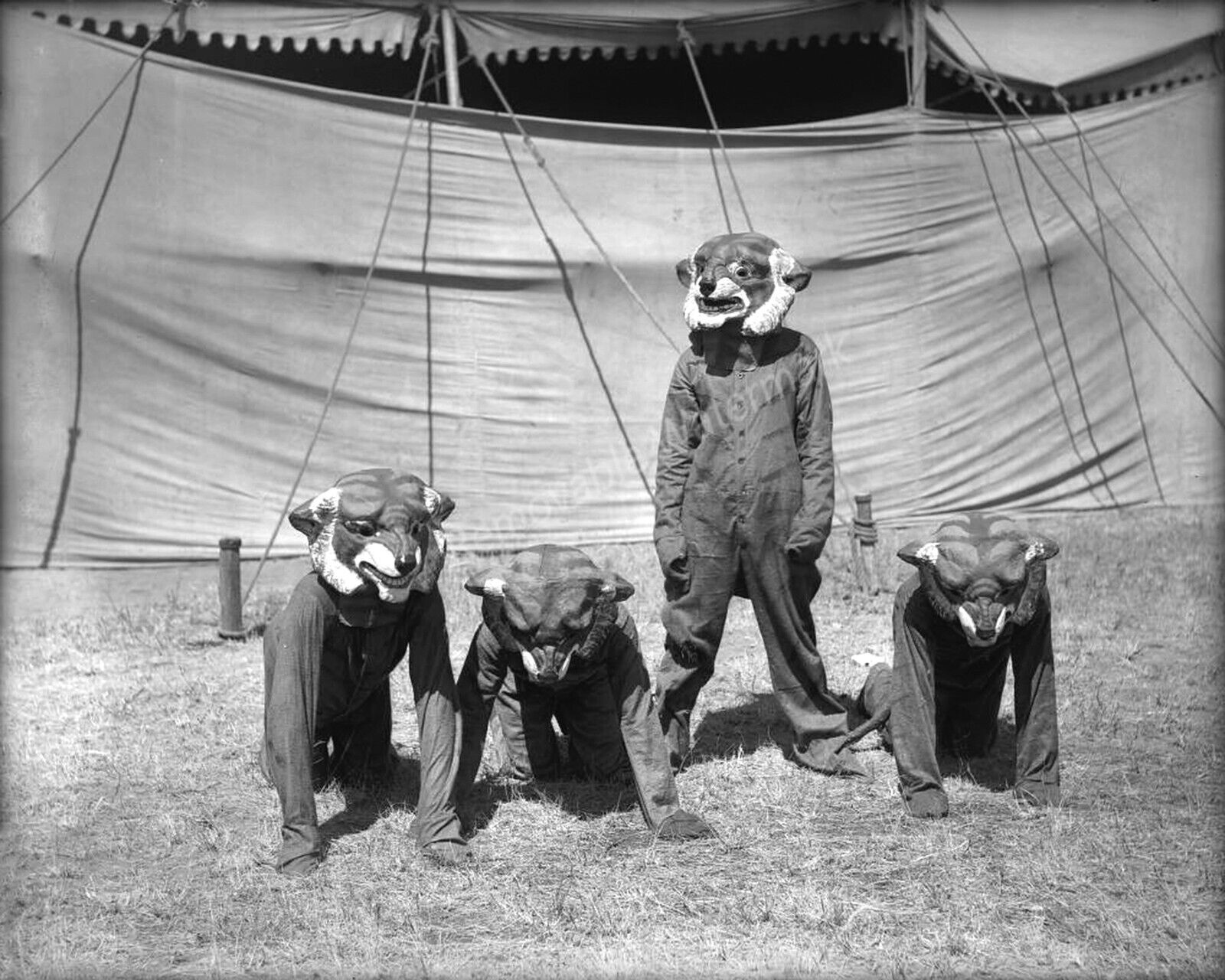 Odd Circus Performers in Tiger Costumes -Vintage Photo Print 5x7