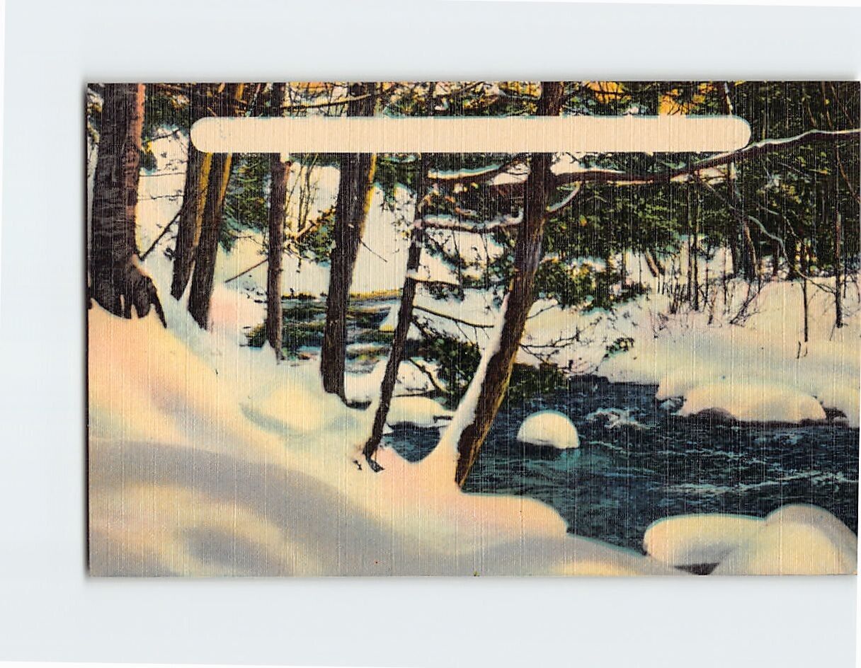 Postcard Beautiful Winter Nature Scene