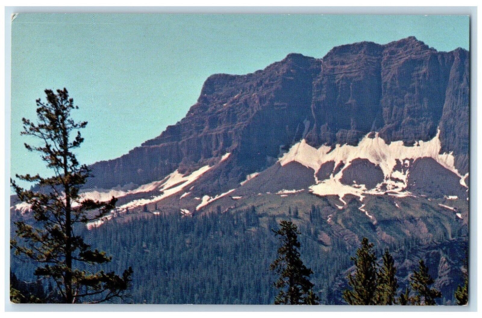 c1950's Northeast Entrance to Yellowstone National Park, Boronett Peak Postcard