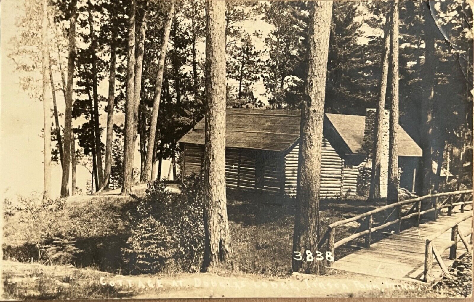 RPPC Itaska State Park Minnesota Douglas Lodge Real Photo Postcard c1920