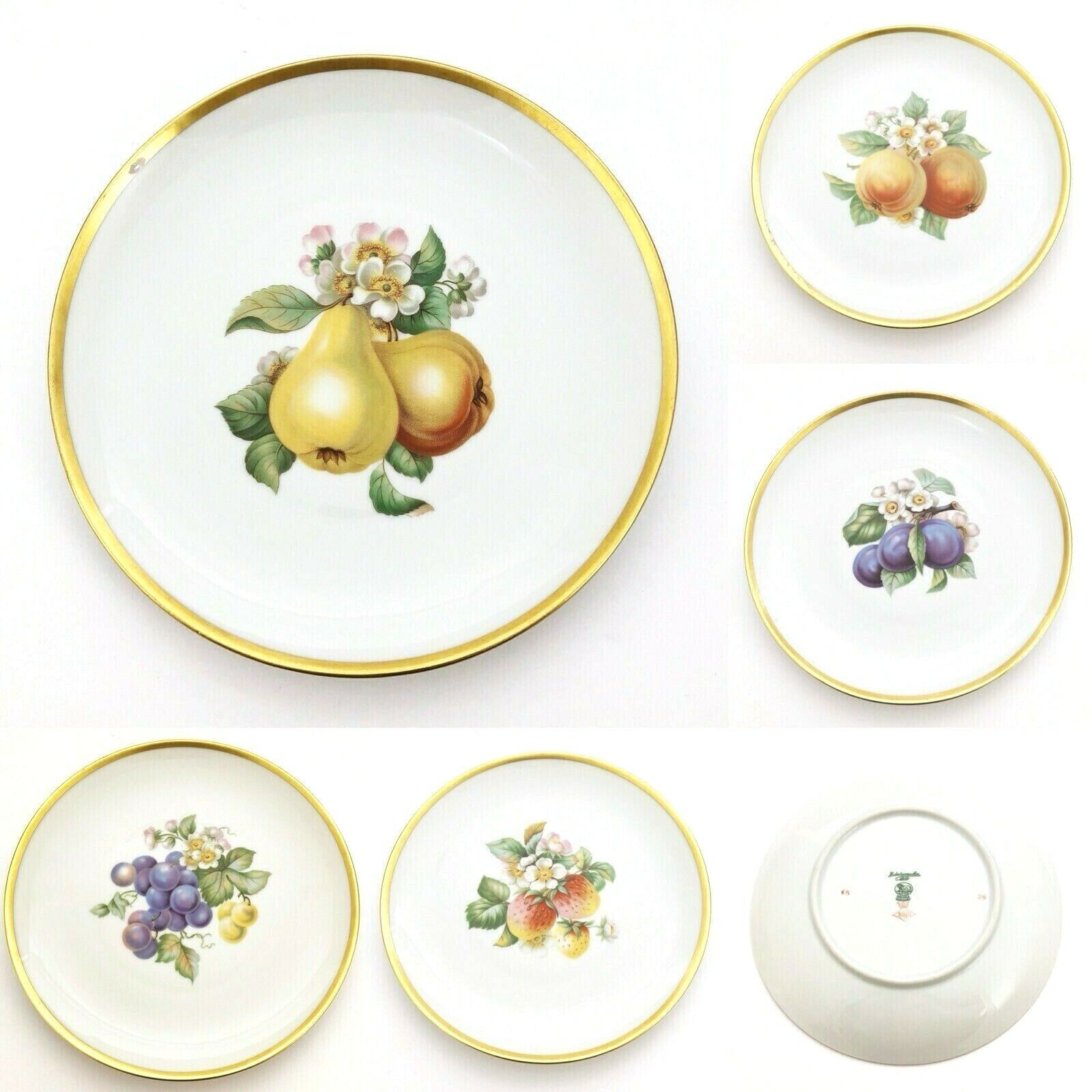 5 Vintage Hutschenreuther Hand Painted Decorative Plates Fruits PASCO Gold Trim