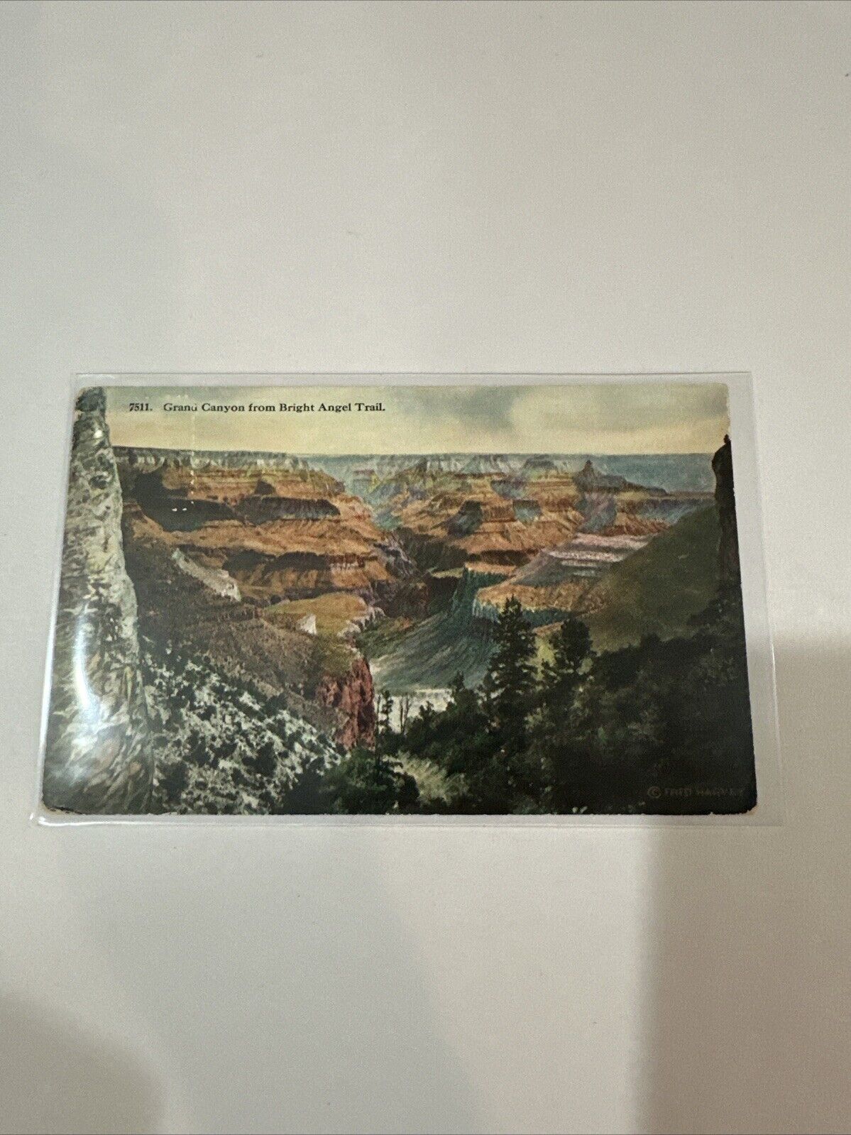 Grand Canyon Fred Harvey Topographical Postcard RPPC RARE 1915