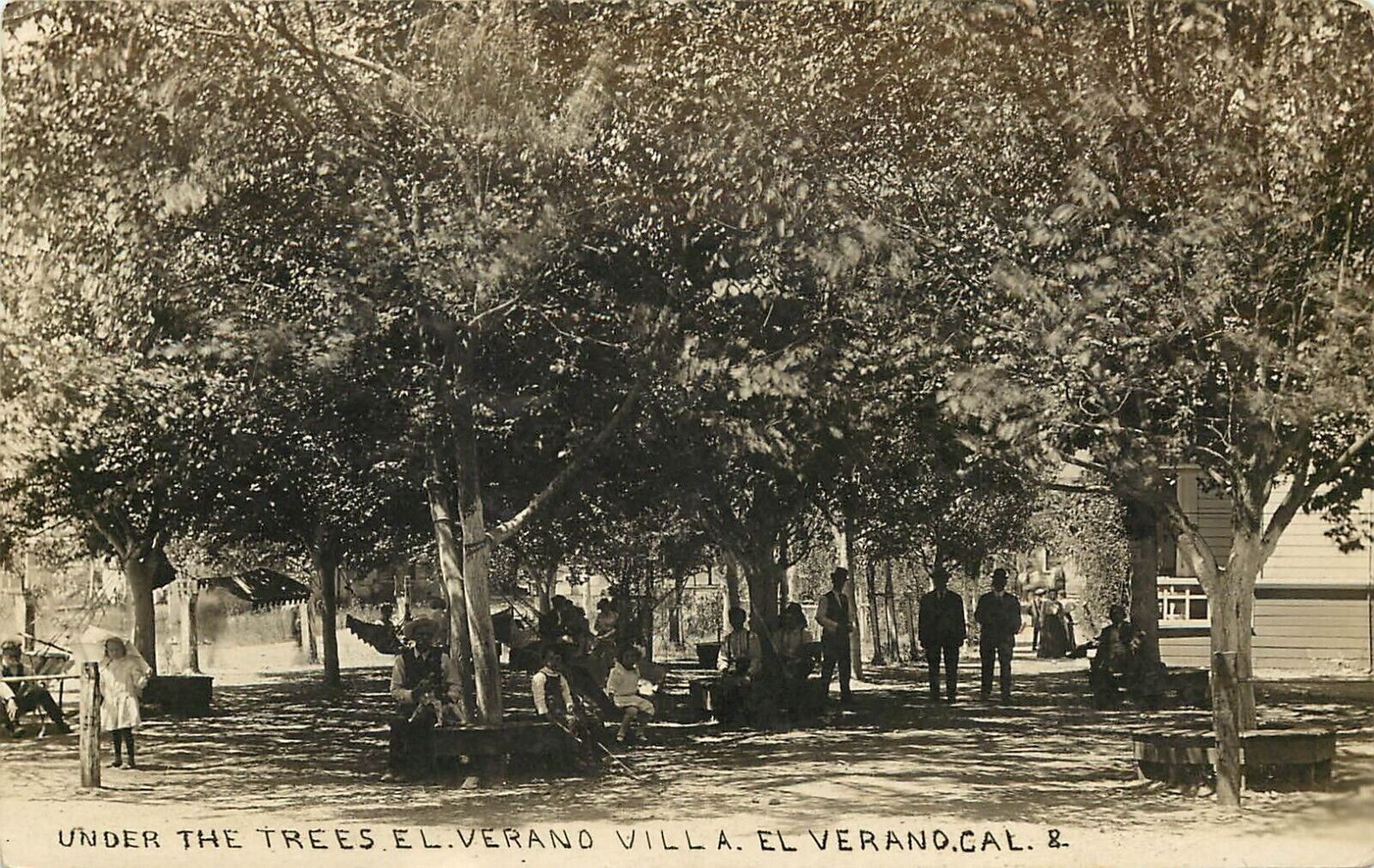RPPC El Verano CA, People Under Trees at El Verano Villa, 1910 DPO 4 Emmaton CA