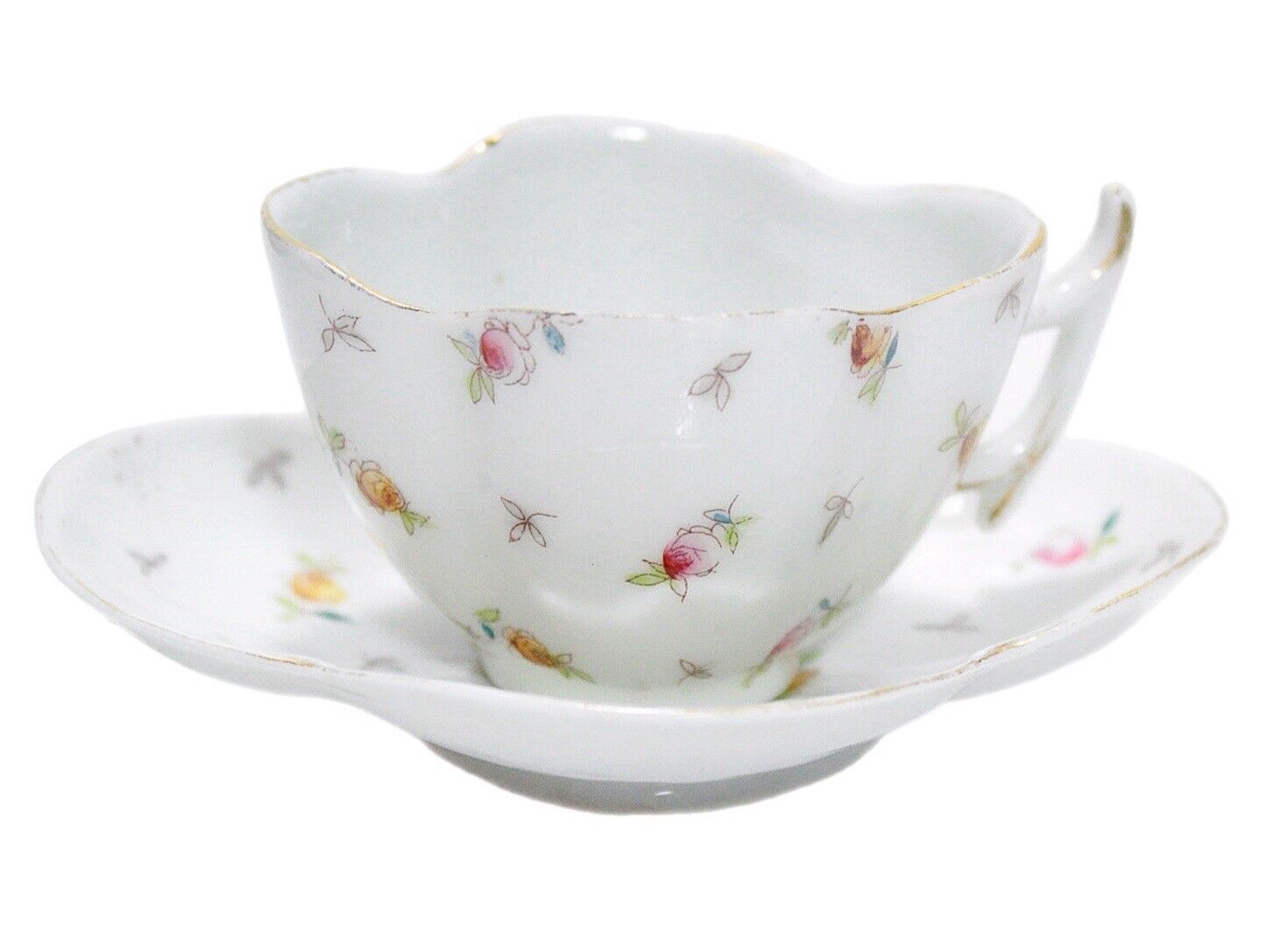 Antique VICTORIA CARLSBAD Austria Floral Motif Porcelain Cup & Saucer