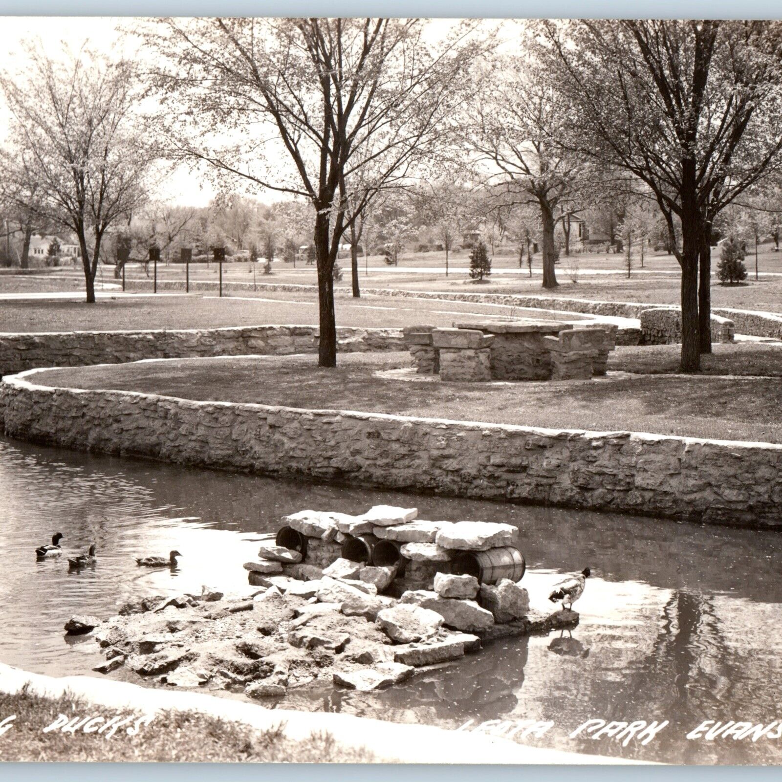 c1930s Evansville WI Leota Park RPPC Cute Ducks Real Photo Landscape Stream A193