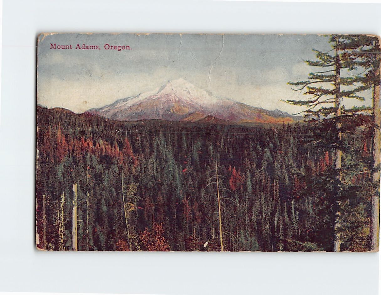 Postcard Mount Adams Oregon USA