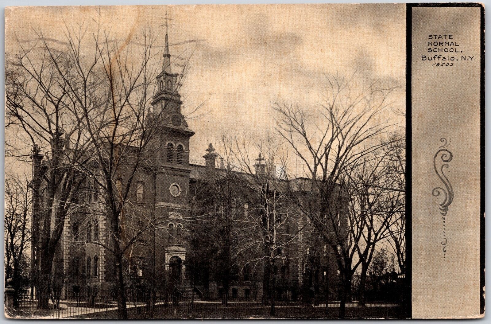 State Normal School Buffalo New York NY Antique Trees Buildings Postcard