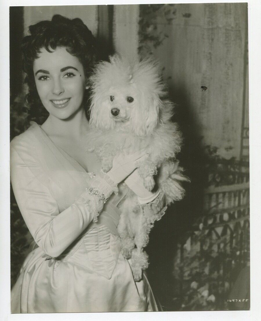 ELIZABETH TAYLOR With Poodle Gigi ORIGINAL 1950 Glamour Photo J1570