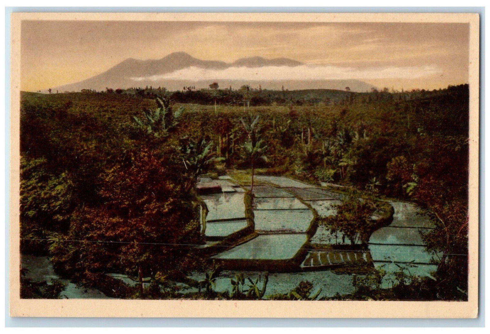 c1920's Rice Field Before Planting Volcano View Unposted Antique Postcard