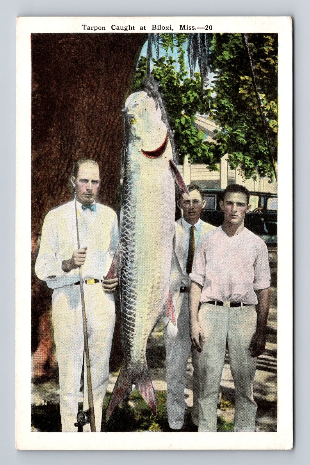 Biloxi MS-Mississippi, Men and the Tarpon They Caught, Antique Vintage Postcard