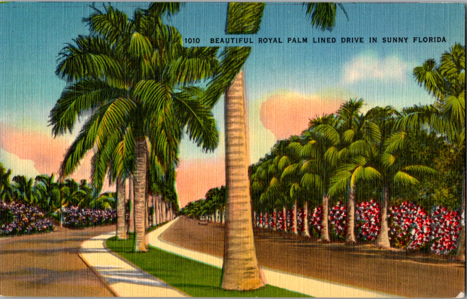 Vintage 1940's Beautiful Royal Palm Lined Drive in Sunny, Florida FL Postcard 