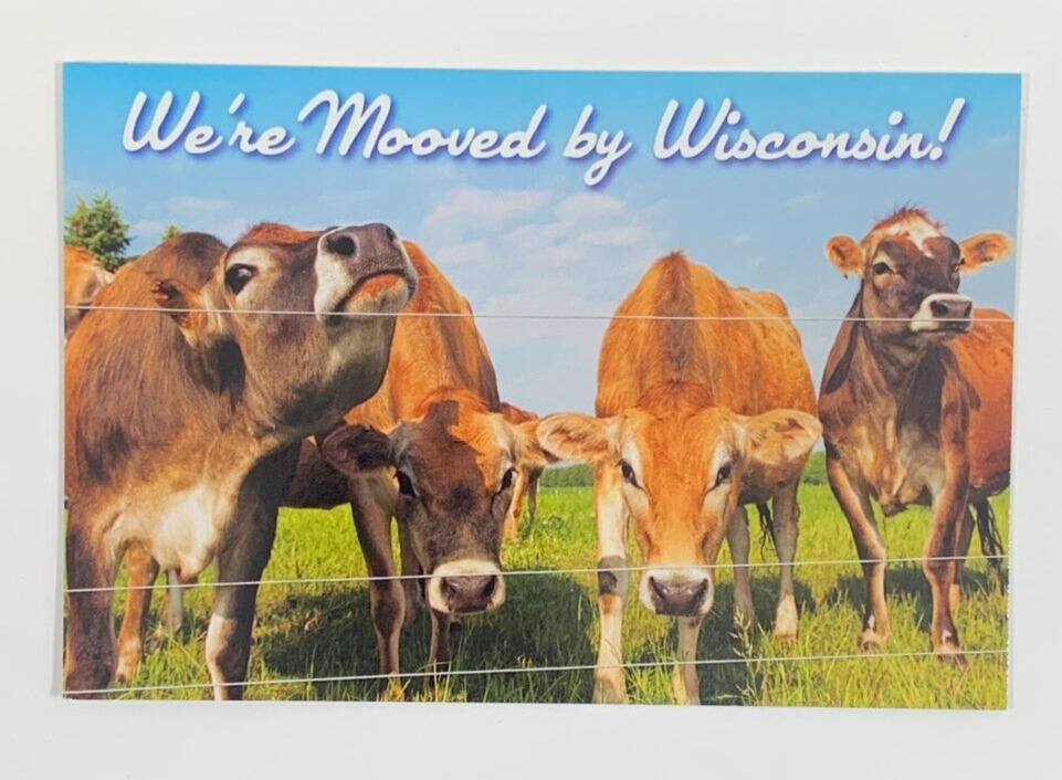 We\'re Mooved by Wisconsin Cow Quartet Postcard Unposted