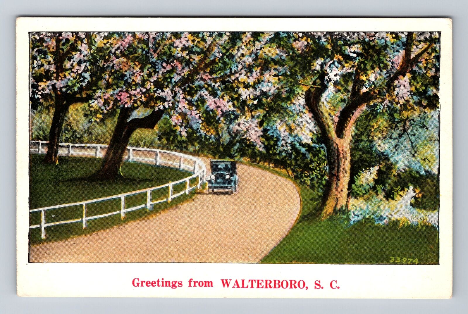 Walterboro SC-South Carolina, Scenic Greetings, Antique, Vintage Postcard