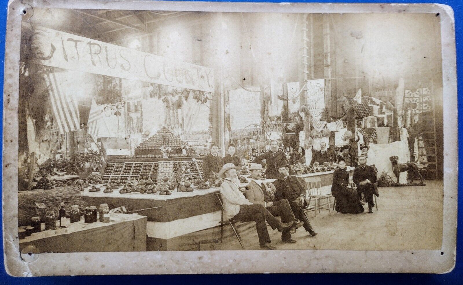 1890 AGRICULTURAL ALLIANCE EXPOSITION IN OCALA FL CITRUS COUNTY EXHIBIT