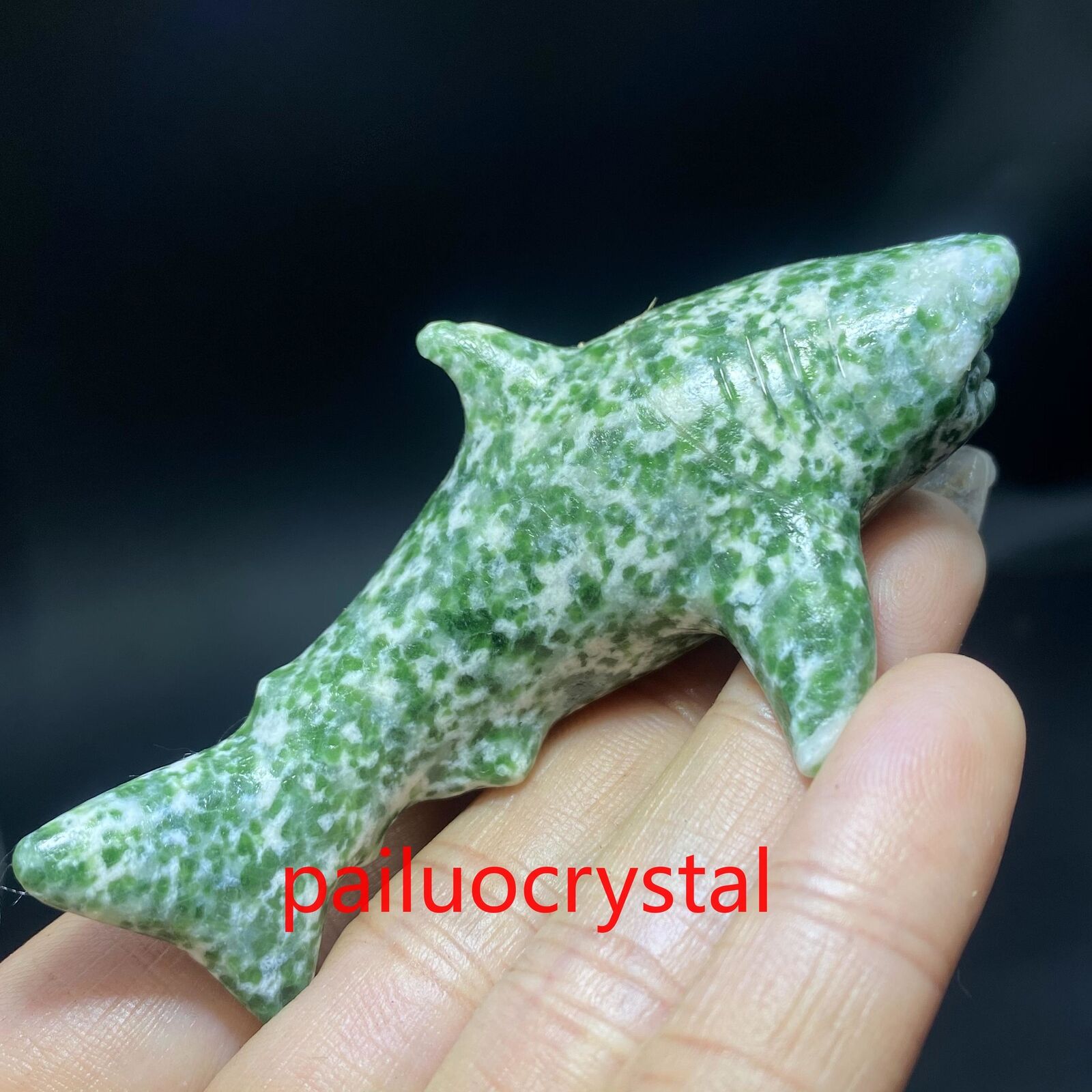 1pcs Natural Qinghai Jade Shark Quartz Crystal Skull Carved Figurines Reiki 3