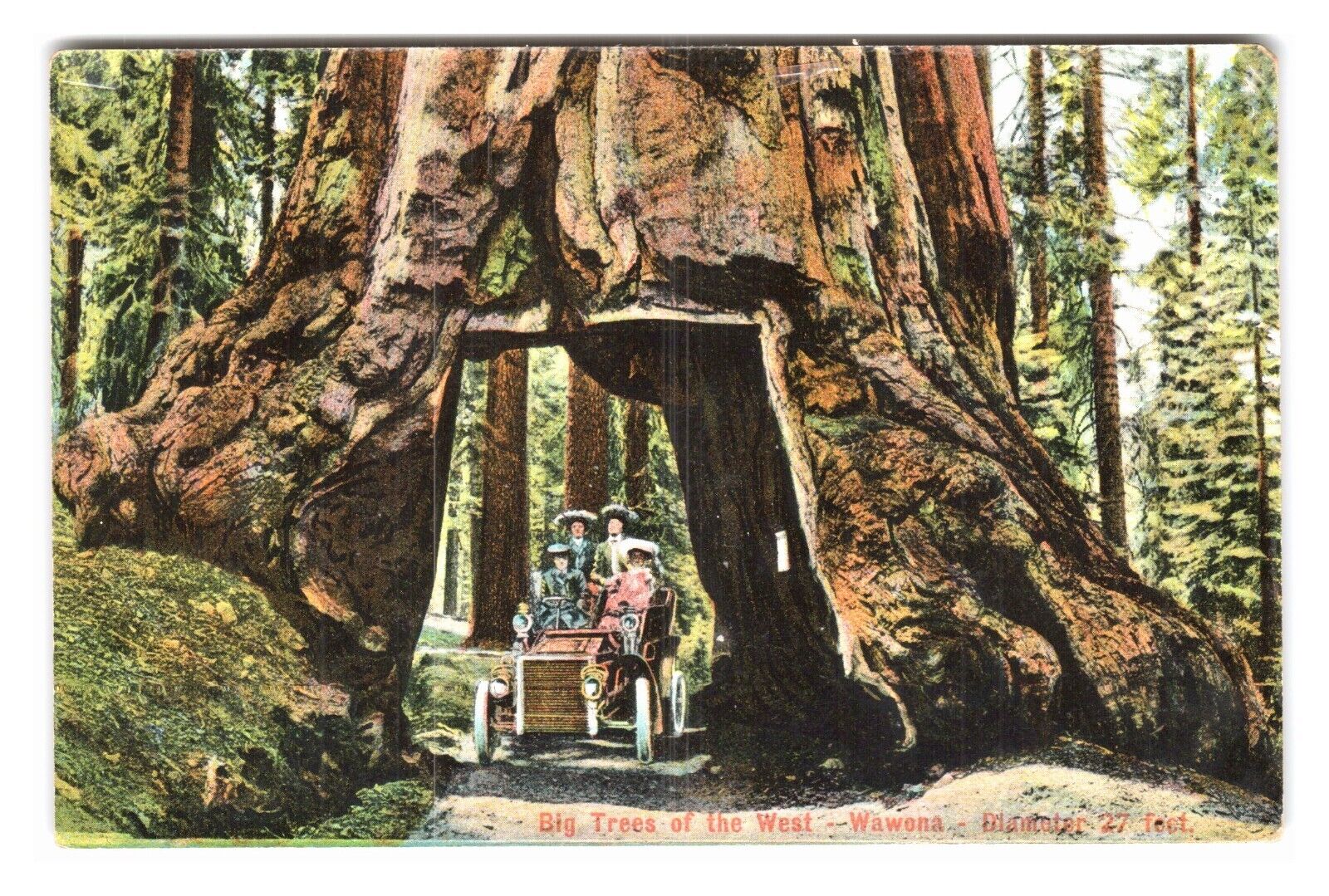 Vintage Postcard Wawona California CA ~ Giant Drive Thru Redwood Tree 27 ft Wide