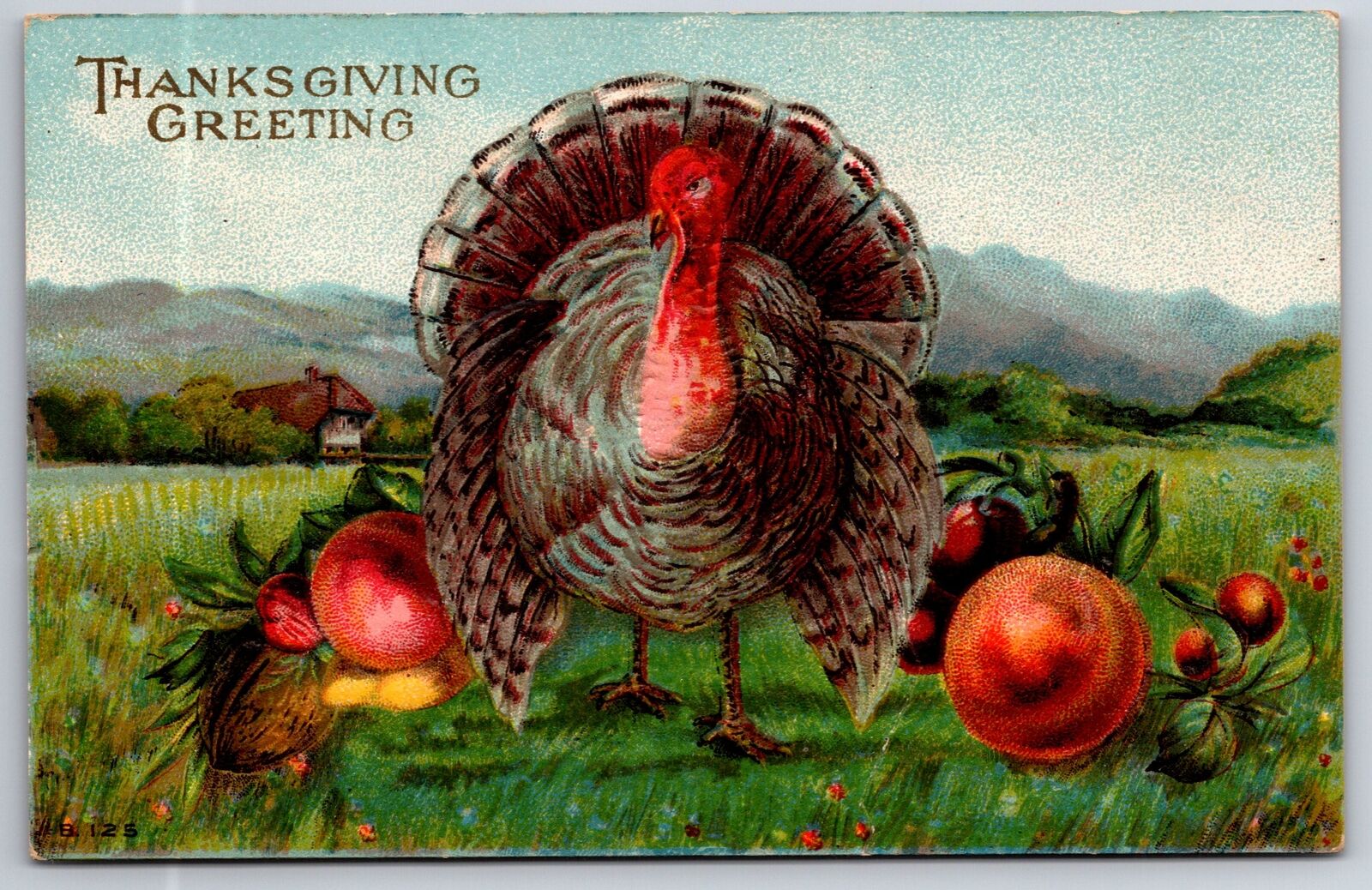 Thanksgiving~Turkey Struts In Meadow~Exaggerated Nuts & Fruit~Embossed~c1910