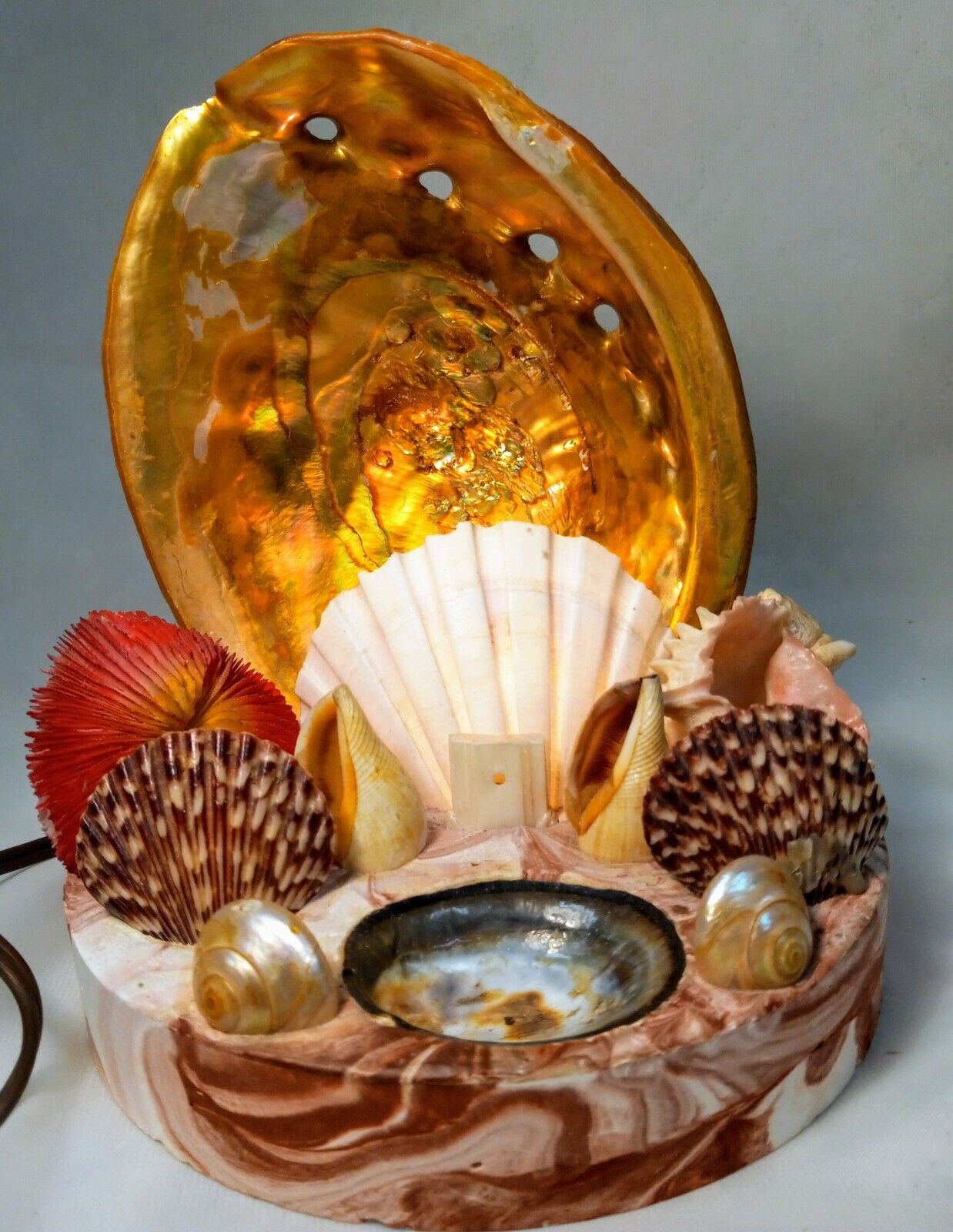 Beautiful Vintage Conch Abalone Sea Shell Lamp 