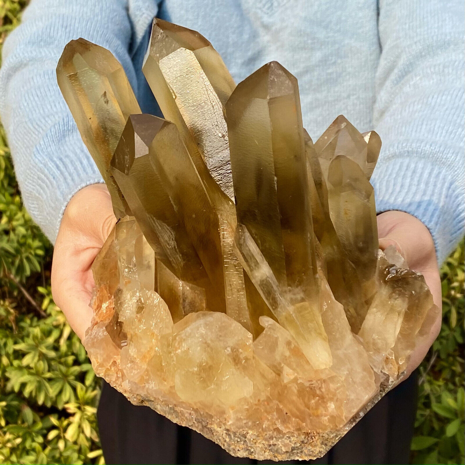 6.21LB arge Natural yellow Crystal Himalayan quartz cluster /mineralsls