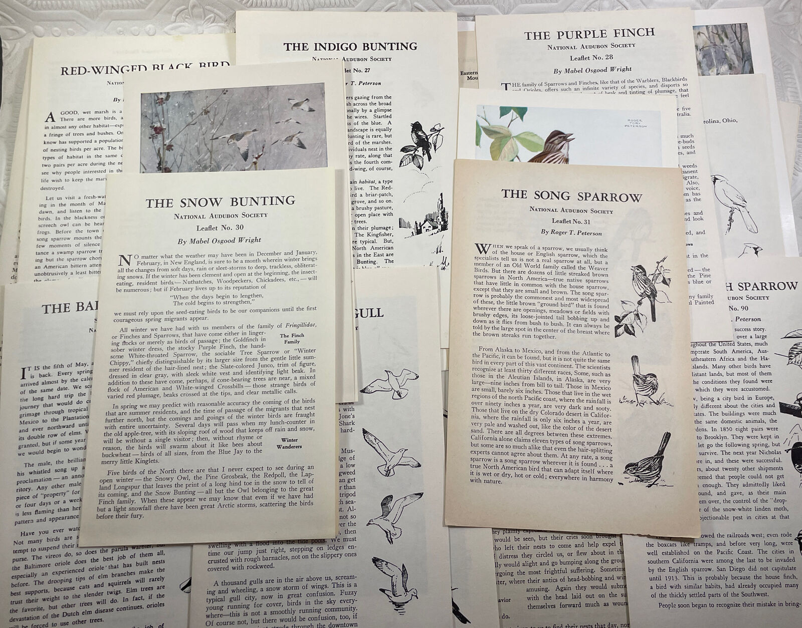 56 National Audubon Societies Educational Leaflet 3 pc print coloring plate text