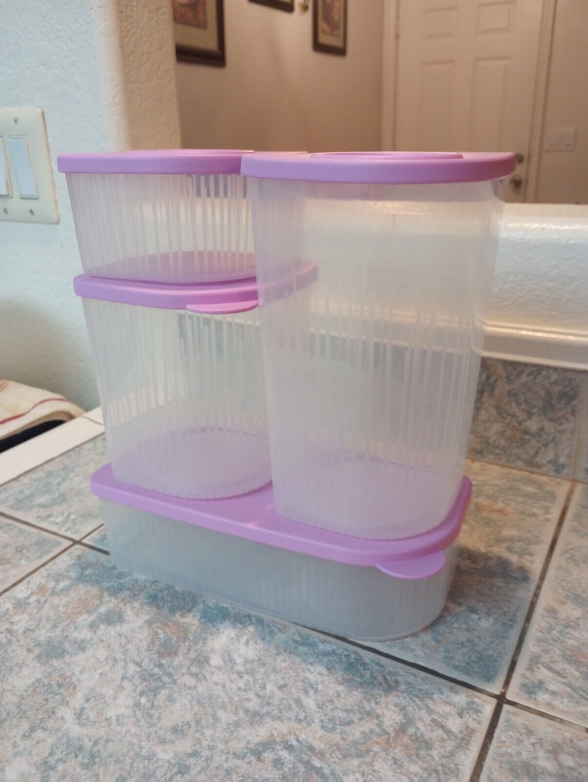 Tupperware Fresh 'N Cool 4 Size Containers-Set of 4-NEW Daisy Purple 