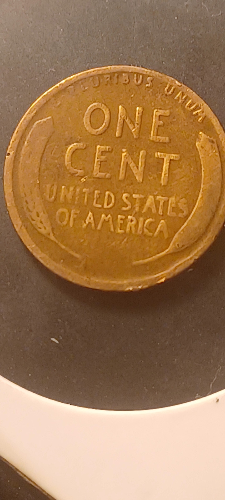 1917 Wheat Penny          \