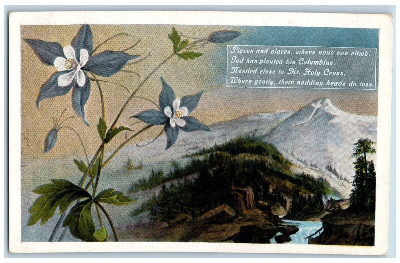 Language Of Flowers Romance Postcard Columbine Mt. Holy Cross c1930's Vintage