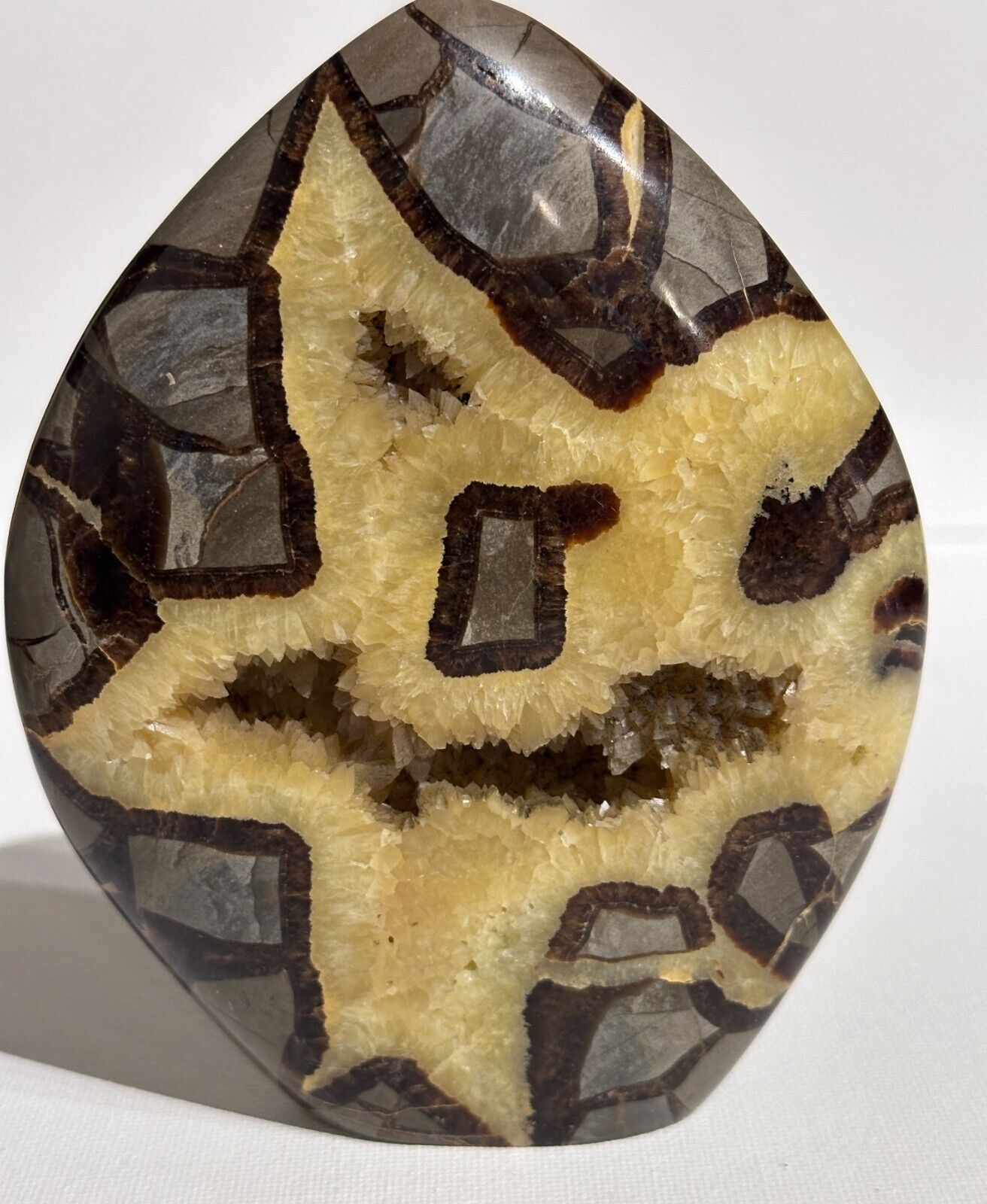 Natural Septarian Dragon Egg Geode Nodule Stone with a Happy Face