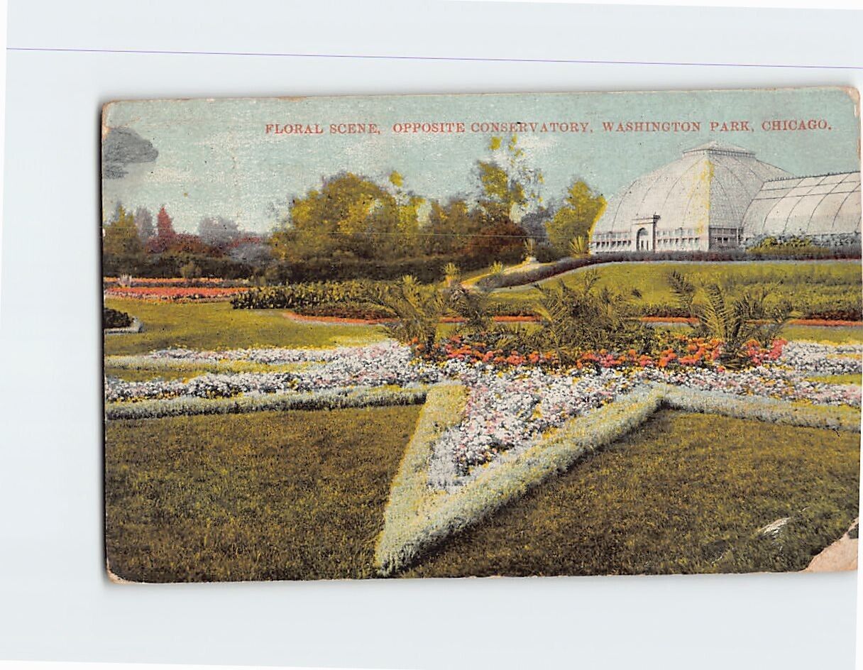 Postcard Floral Scene Opposite Conservatory Washington Park Chicago Illinois USA