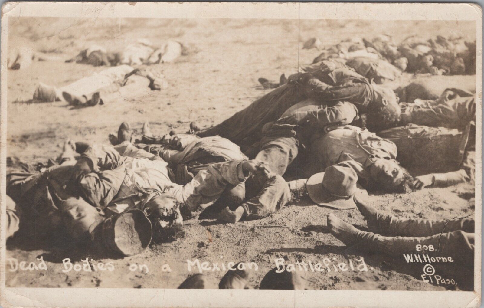 RPPC Wm Horne Mexican Revolution Dead Bodies on Battlefield #808 PC 1910s 8163a