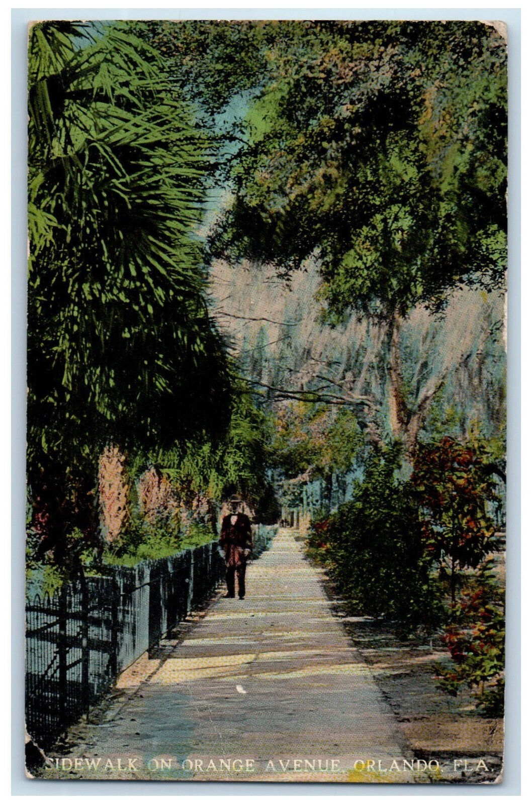 1914 Sidewalk on Orange Avenue Orlando Florida FL Antique Posted Postcard