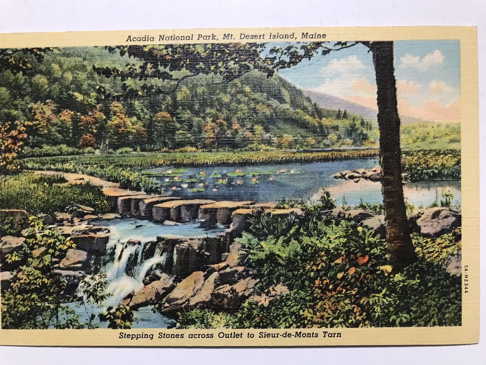 1940 Acadia National Park Mt Desert Island Maine Postcard