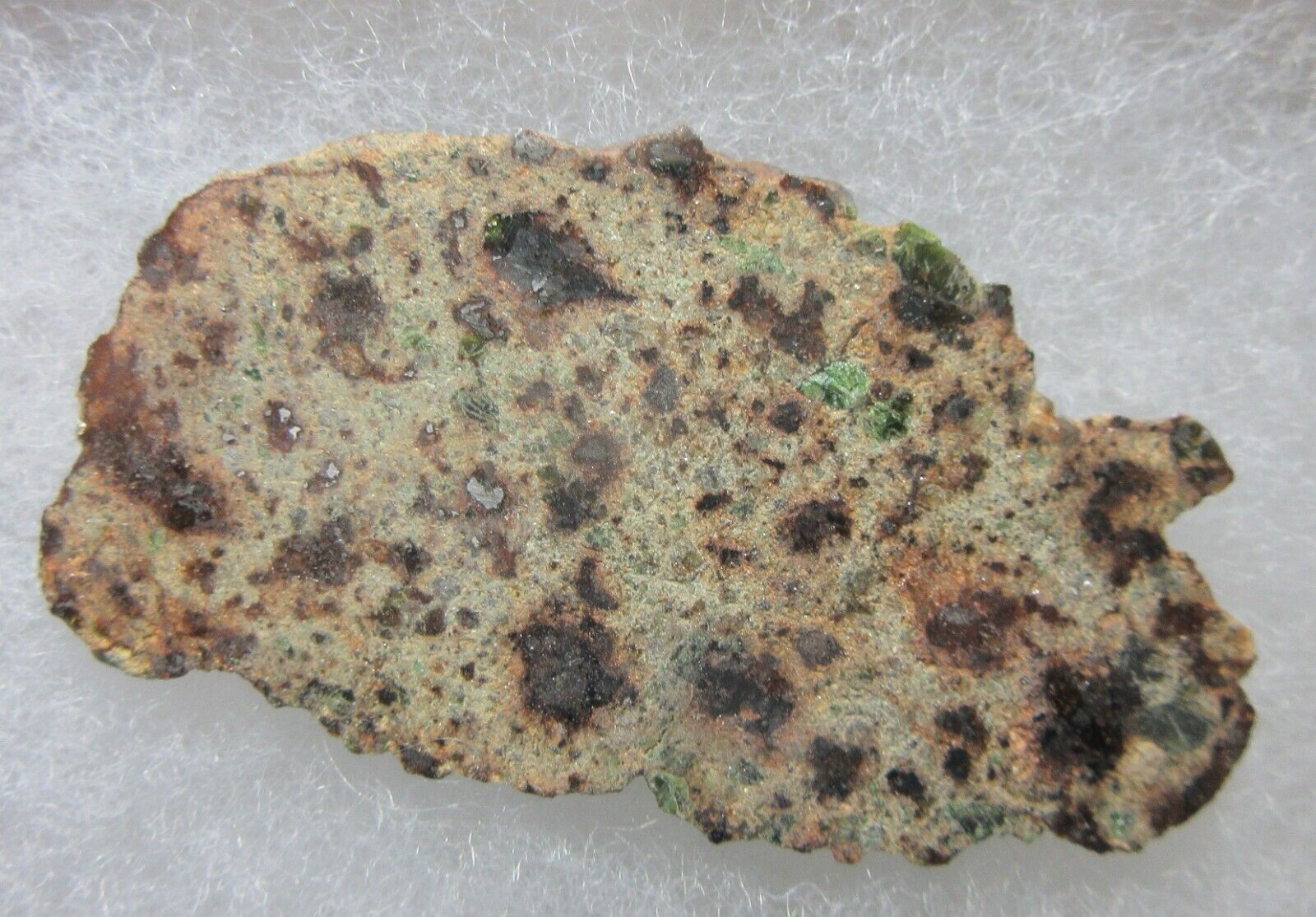 RARE, NWA 8251 Lodranite Meteorite, 8.99 grams