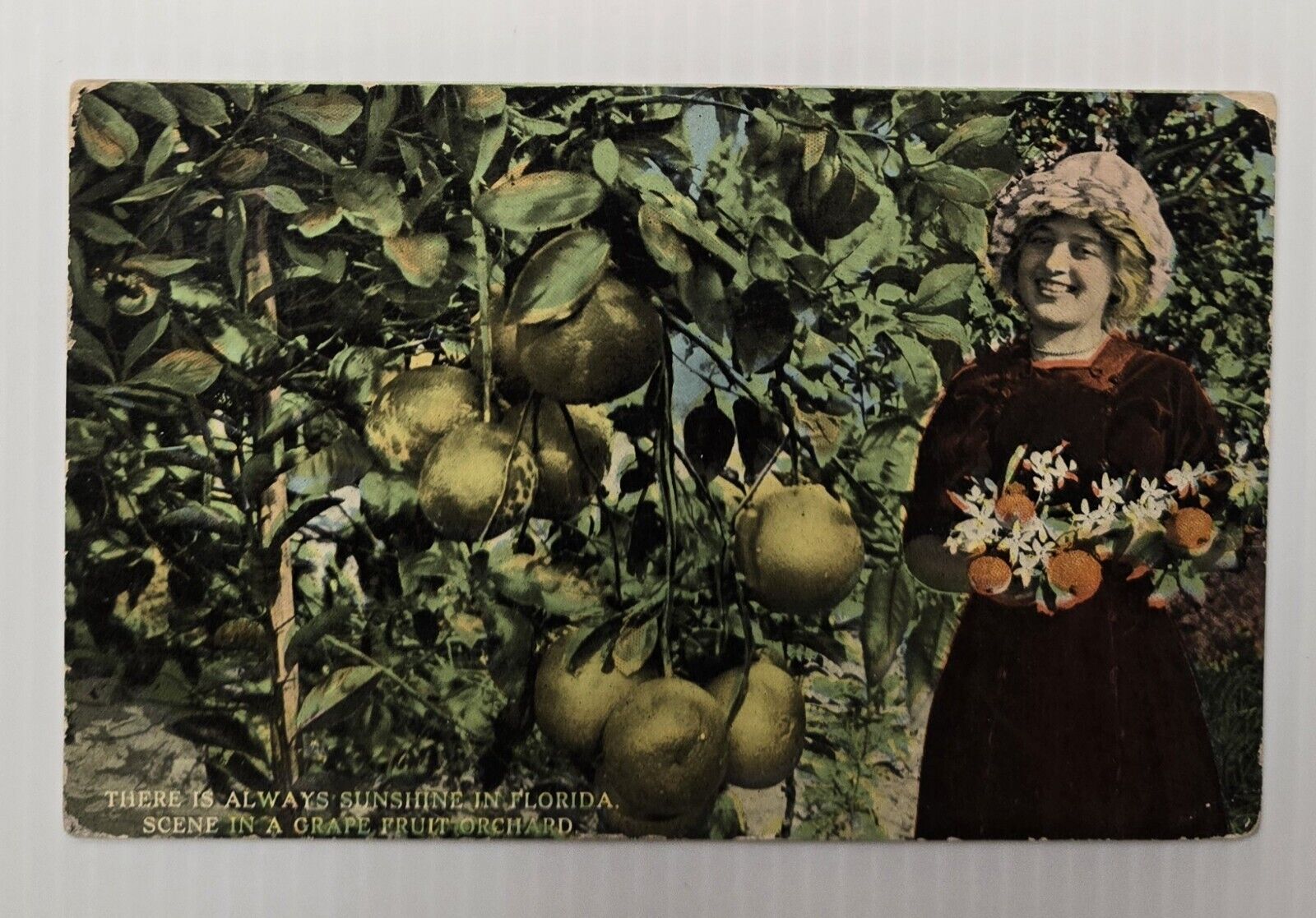 Used Antique 1914 Florida Postcard: 