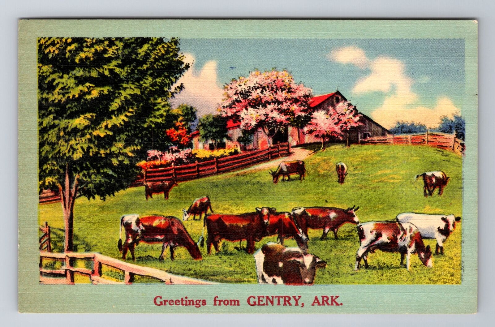 Gentry AR-Arkansas, Scenic Greetings Cows, Antique, Vintage Souvenir Postcard