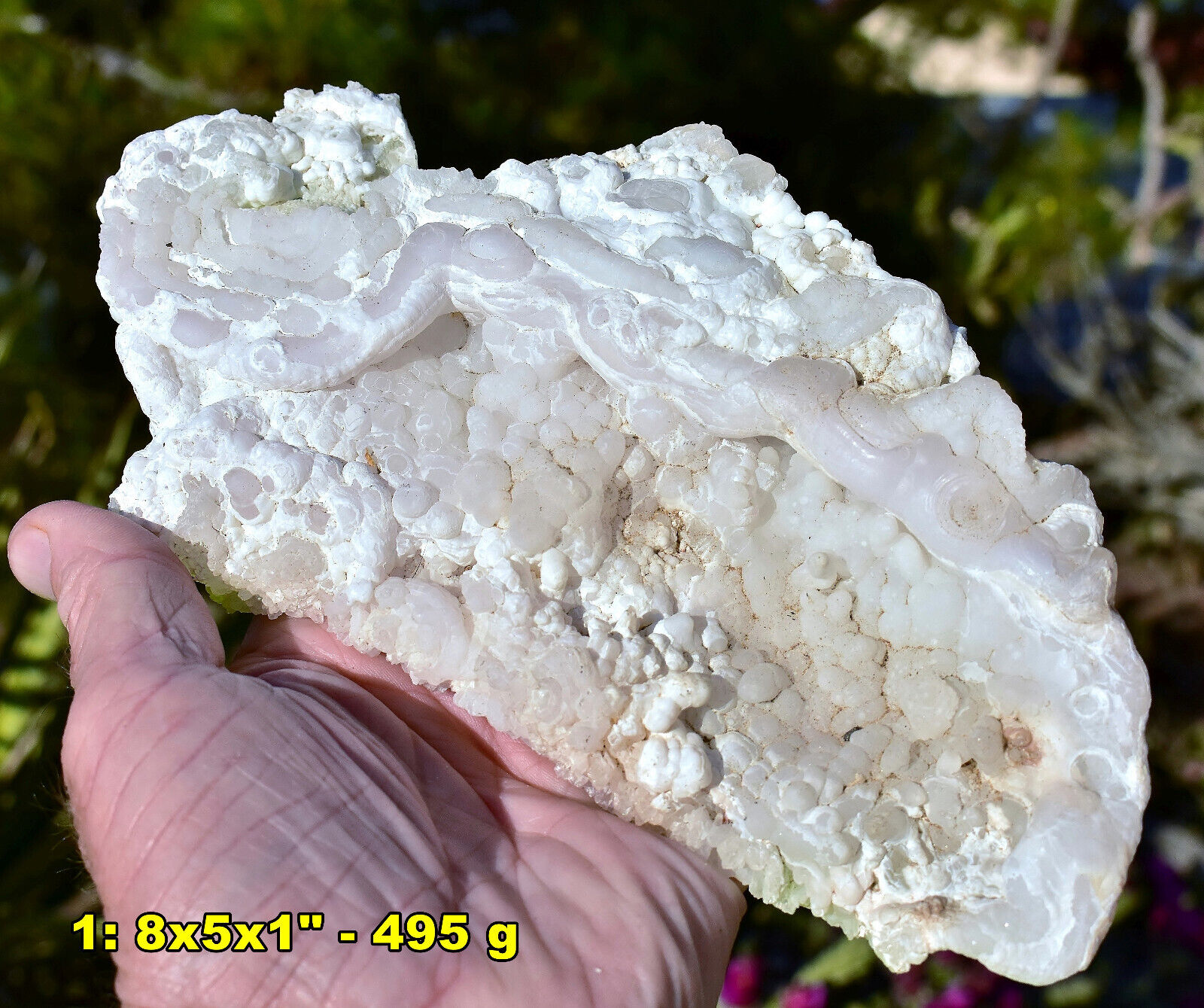 Large CHALCEDONY DESERT ROSES * Choose from 10 Natural Mineral Specimens - U.S.