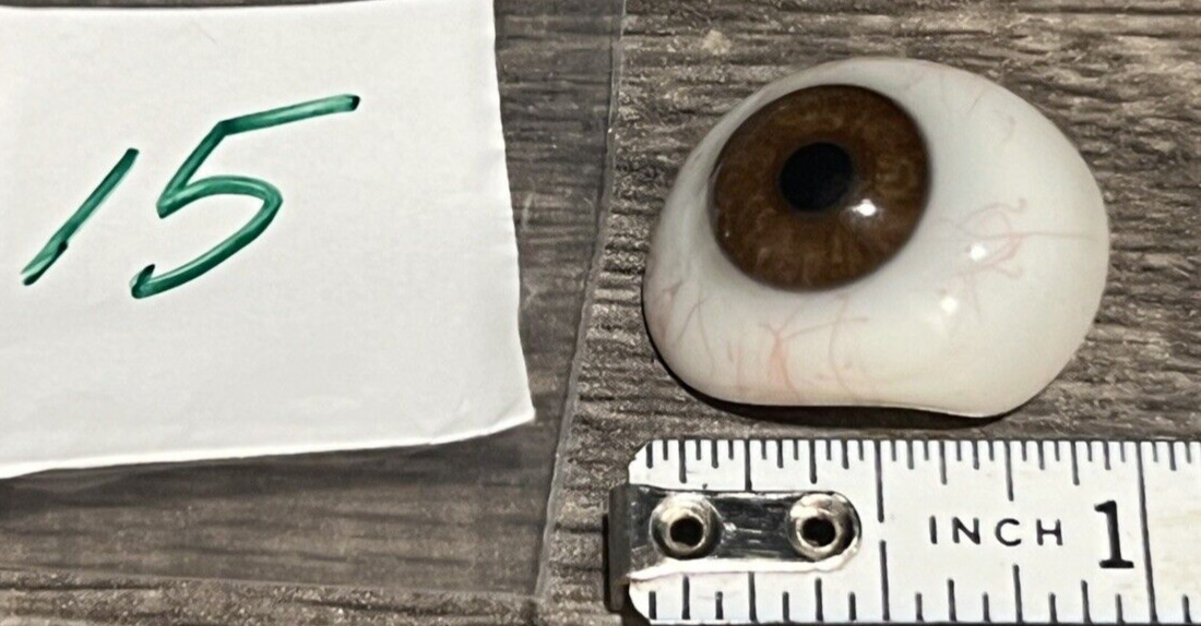 Antique Optometrist EyeBall Prosthetic Blown Glass med/dark brown dark ring #15