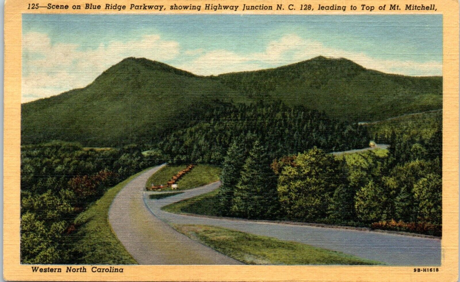 1951 Linen Postcard Asheville NC North Carolina Blue Ridge Parkway Mt Mitchell