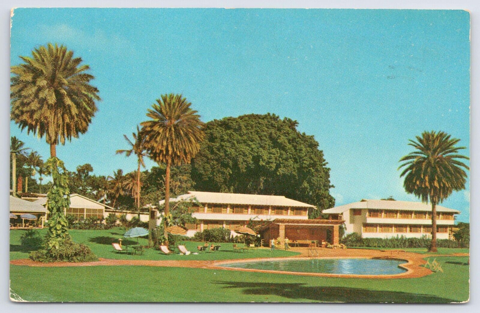 Lovely Kauai Inn Lihue Hawaii Vintage Chrome Postcard 1965