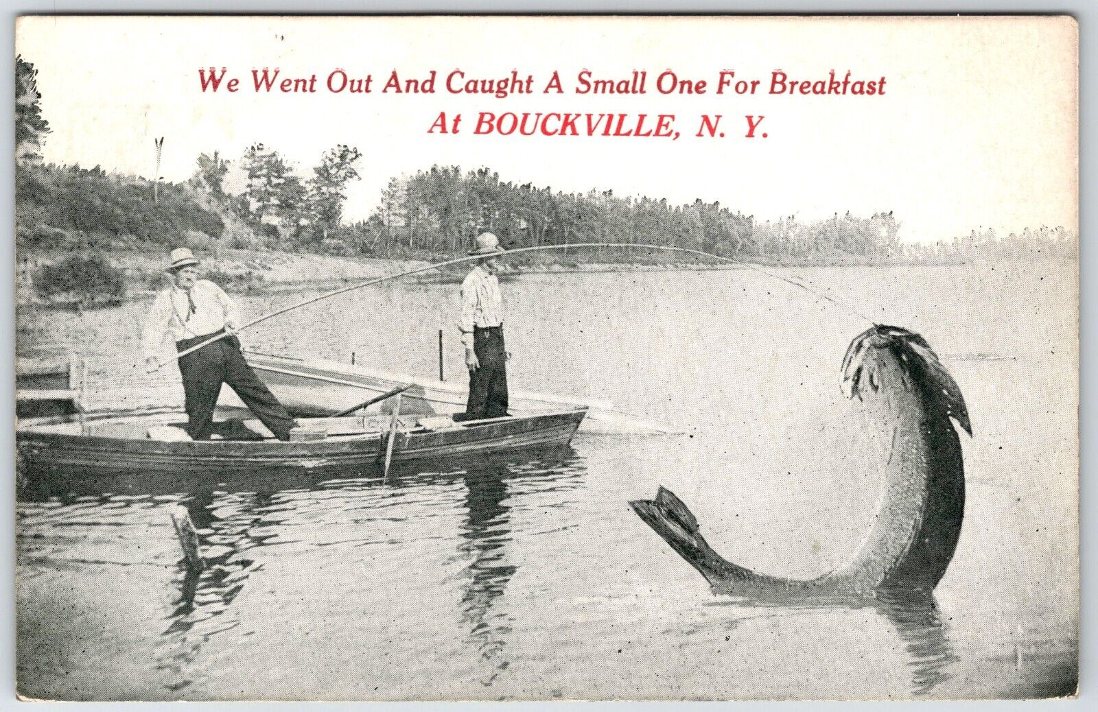 exaggerated fish bouckville ny new york vintage postcard PM 1913