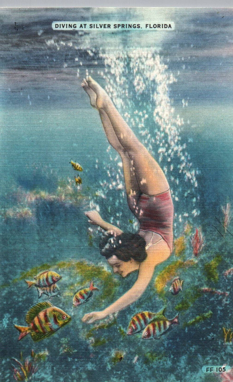 Florida Postcard Woman Diving at Silver Springs FL Unused Linen Fish Underwater