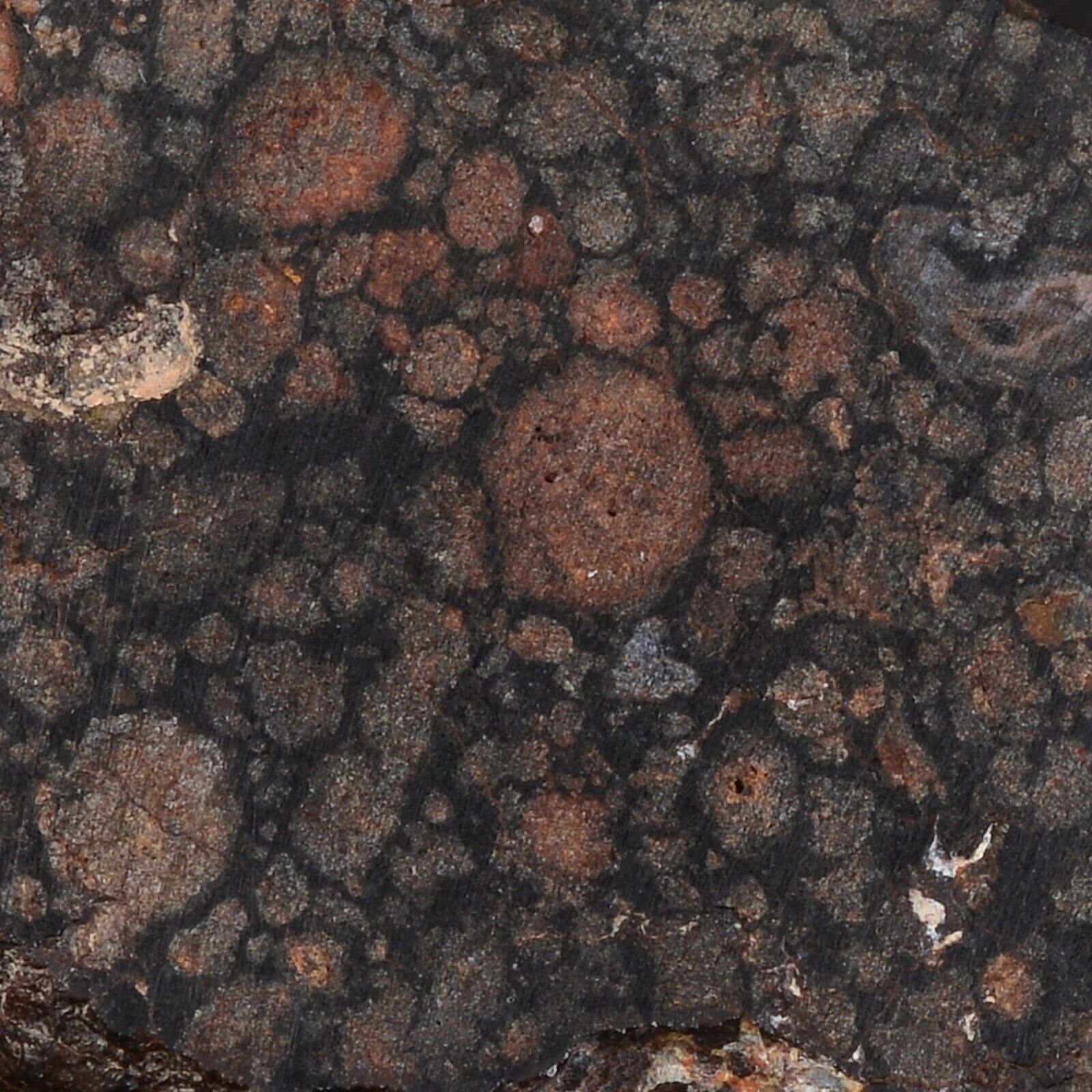 Heel Of Meteorite Nwa 13385 Of 6,40 G Chondrite Carbonée Type CVred3 #B155