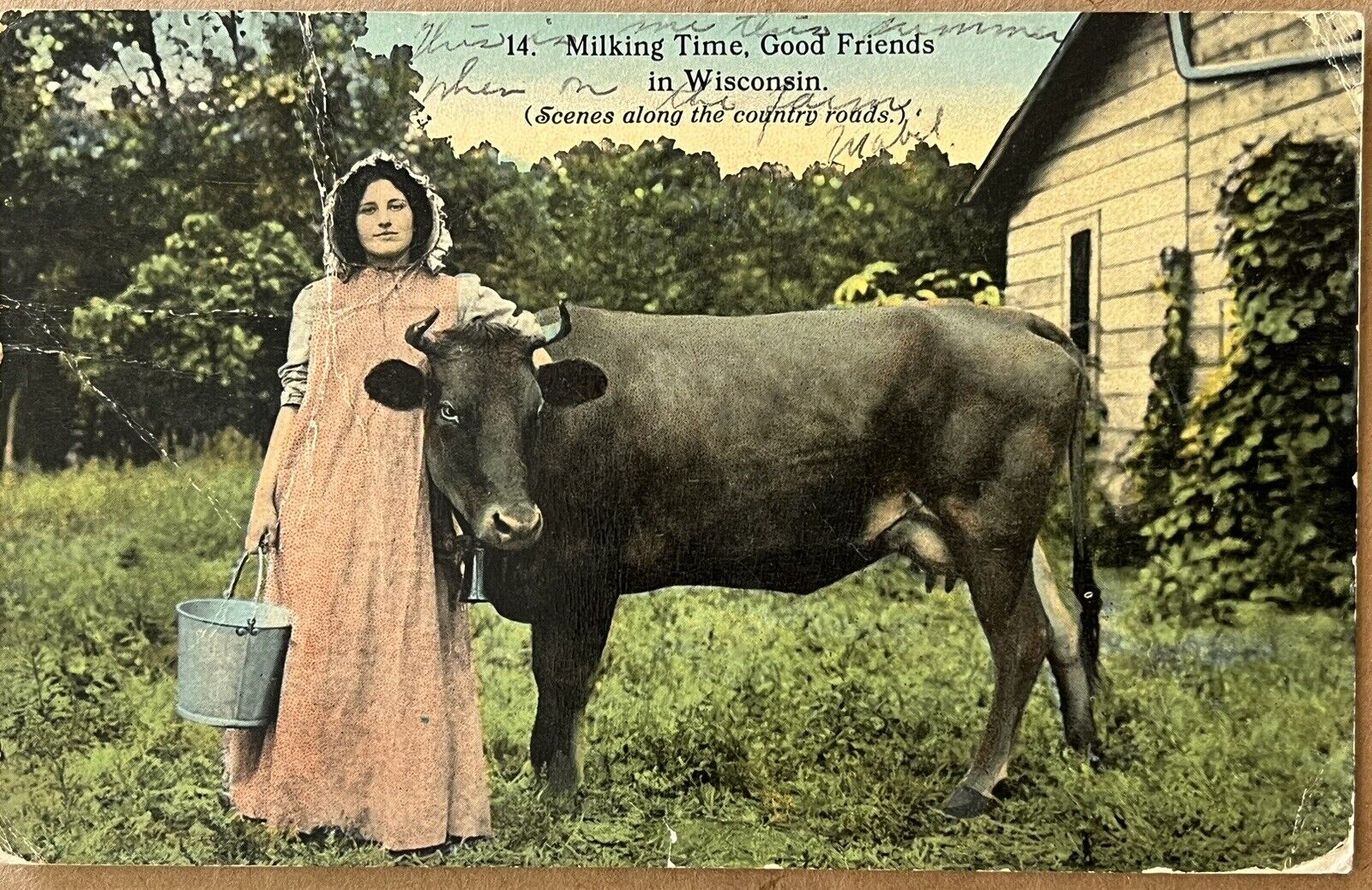 Wisconsin Pretty Lady Leans on Cow with Milk Bucket Antique Postcard 1910