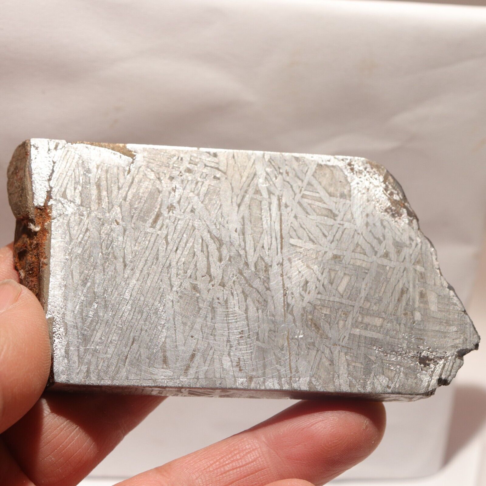 172g  Muonionalusta meteorite part slice  A173