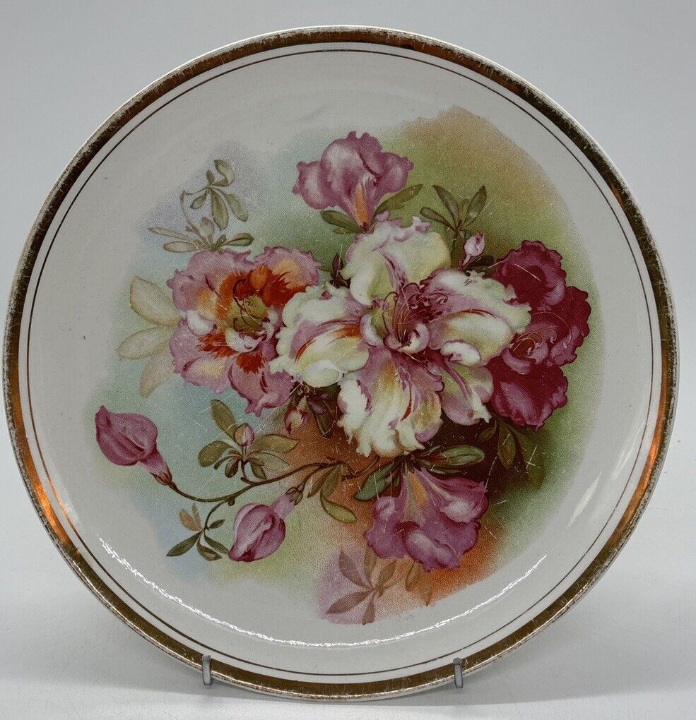 Vintage Dresden China Porcelain Plate with Colorful Flowers  And Gold Trim 10”