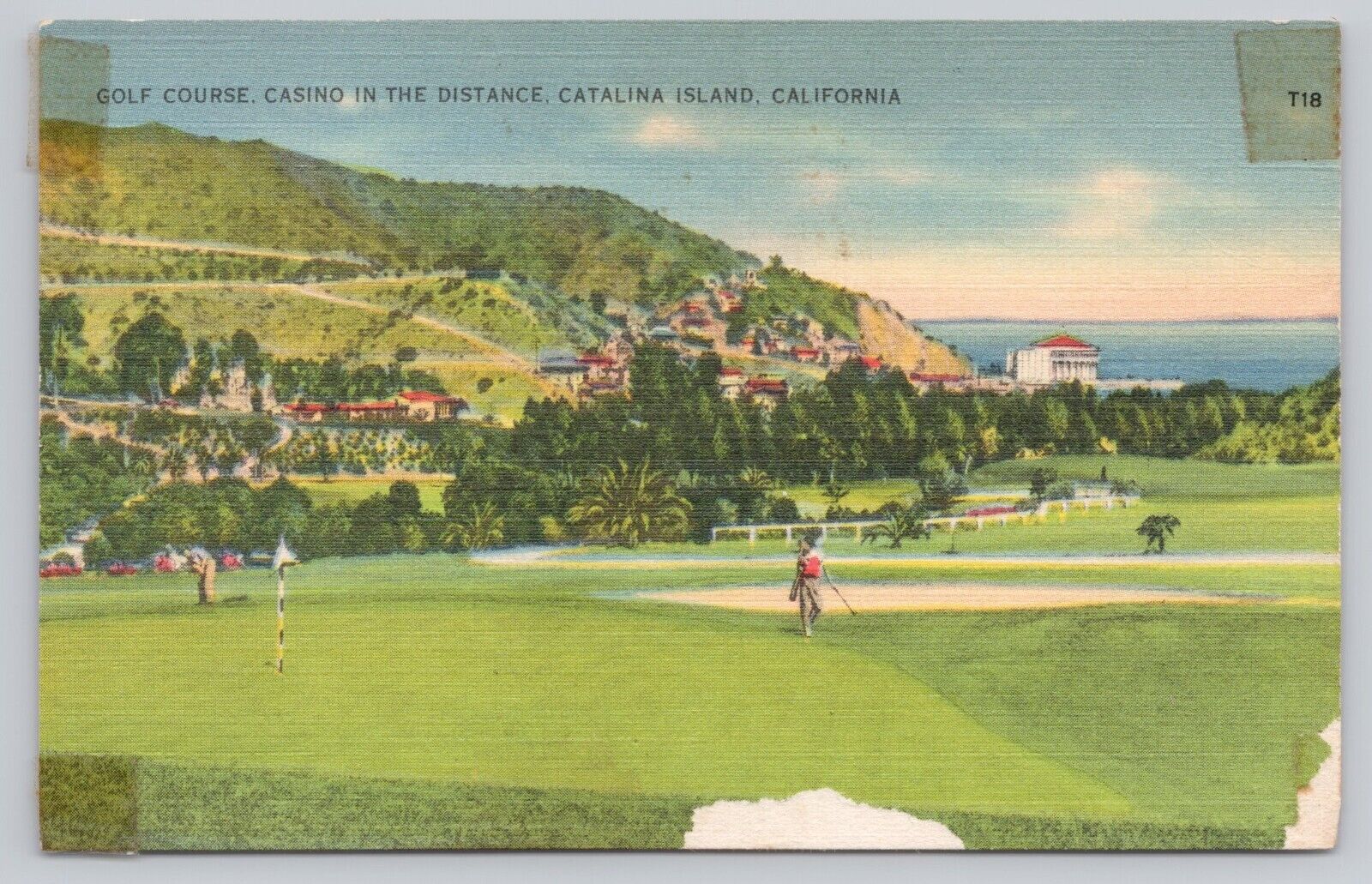 Santa Catalina Island California, Golf Course & Casino, Vintage Postcard