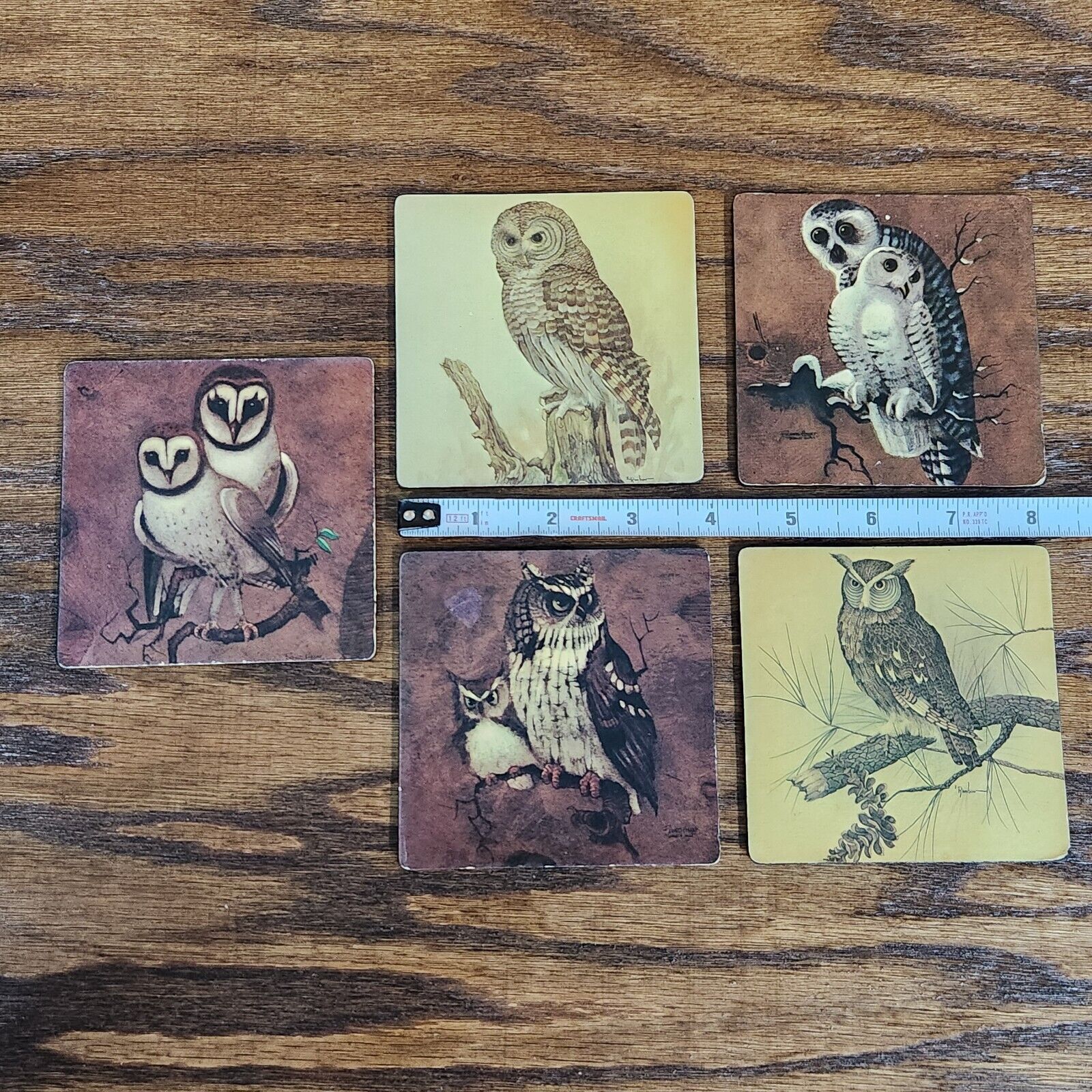 Vintage 60-70s Set of 5 Richard Hinger & E Rambow Owl Bird Drink Coasters 